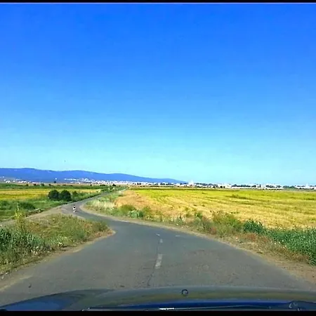 In Sunny Day 6 Complex Слънчев бряг