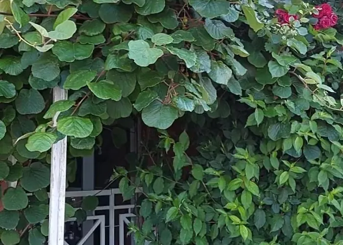 Отель In Sunny Day 6 Complex