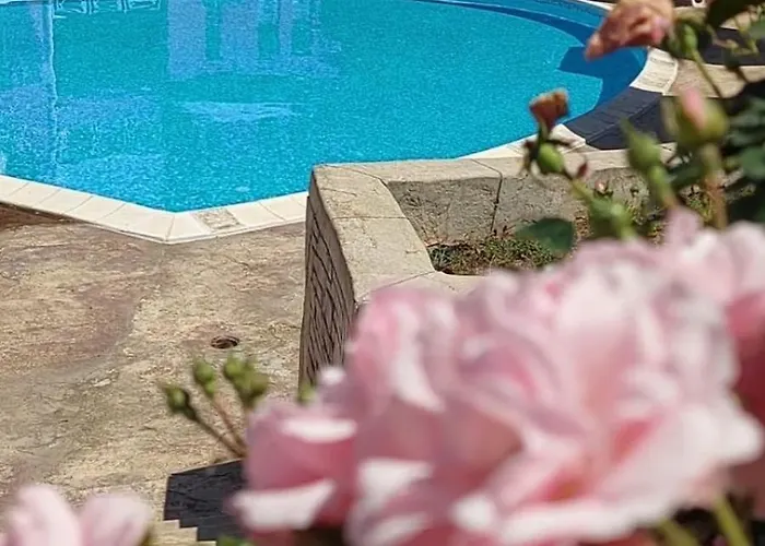 In Sunny Day 6 Complex Отель Солнечный берег