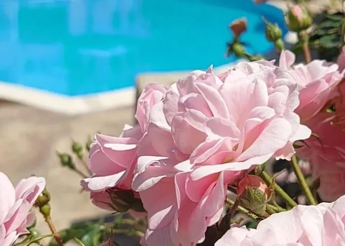 In Sunny Day 6 Complex Солнечный берег